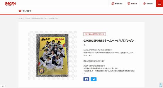 野球懸賞 GAORA SPORTSホームページ4月プレゼント 阪神タイガース×GAORA SPORTS特製クリアファイル