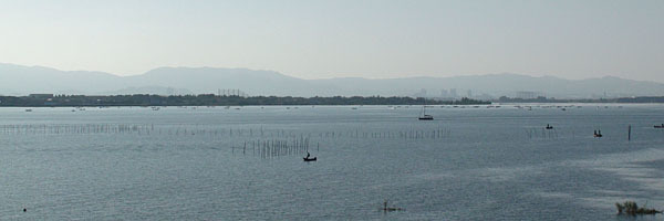琵琶湖大橋西詰めから眺めた南湖（10月3日9時頃）