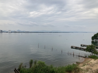 曇天微風でベタナギの琵琶湖南湖（6月18日10時40分頃）