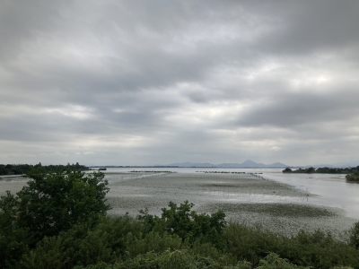 山ノ下湾から眺めた琵琶湖南湖。嵐の前の静かな曇り空です（9月16日9時30分頃）