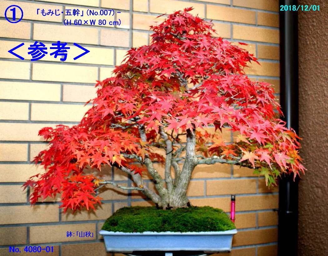 折り鶴盆栽(もみじ、紅葉、４) 最新アイテム その他