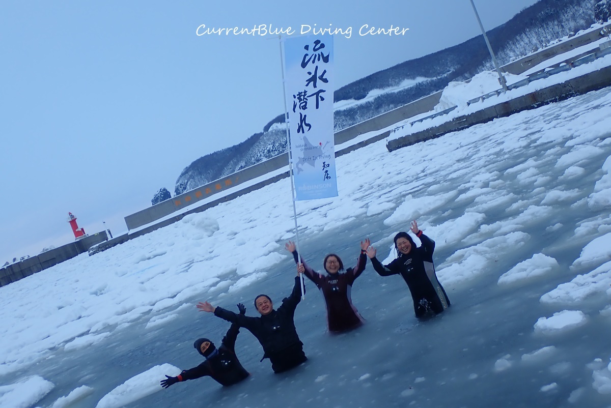 北海道知床流氷ダイビング (189)