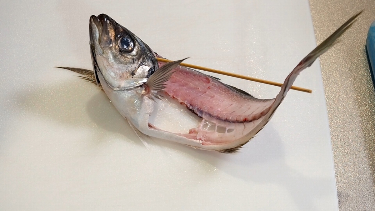 あじの姿造り 姿造り用のさばき方 刺身の切り方 盛り付け 大きく見せる盛り付け 動画 魚料理と簡単レシピ
