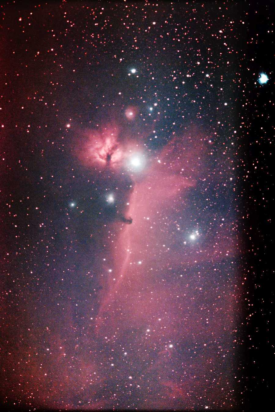 強調しまくりの馬頭星雲 BORG125F2.8ED 2022年2月