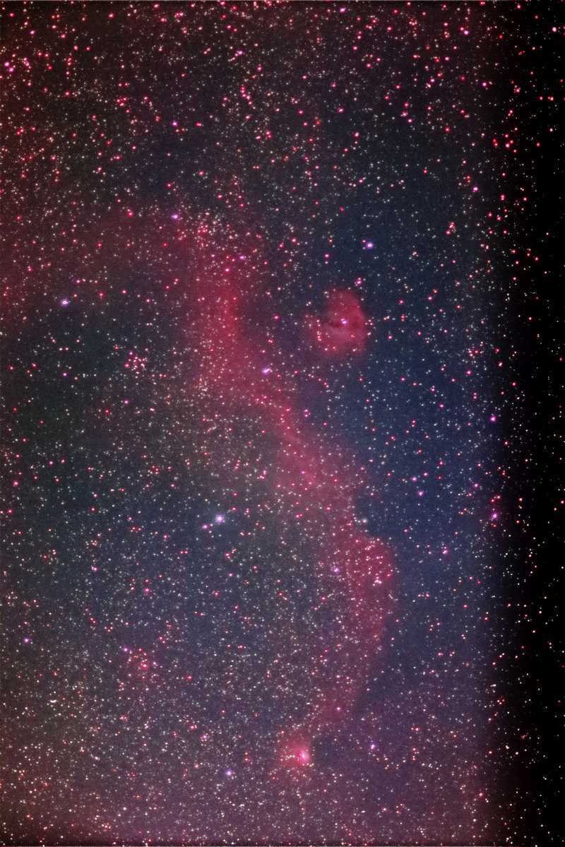 BORG１２５F2.8EDでカモメ星雲 4分 2022年1月