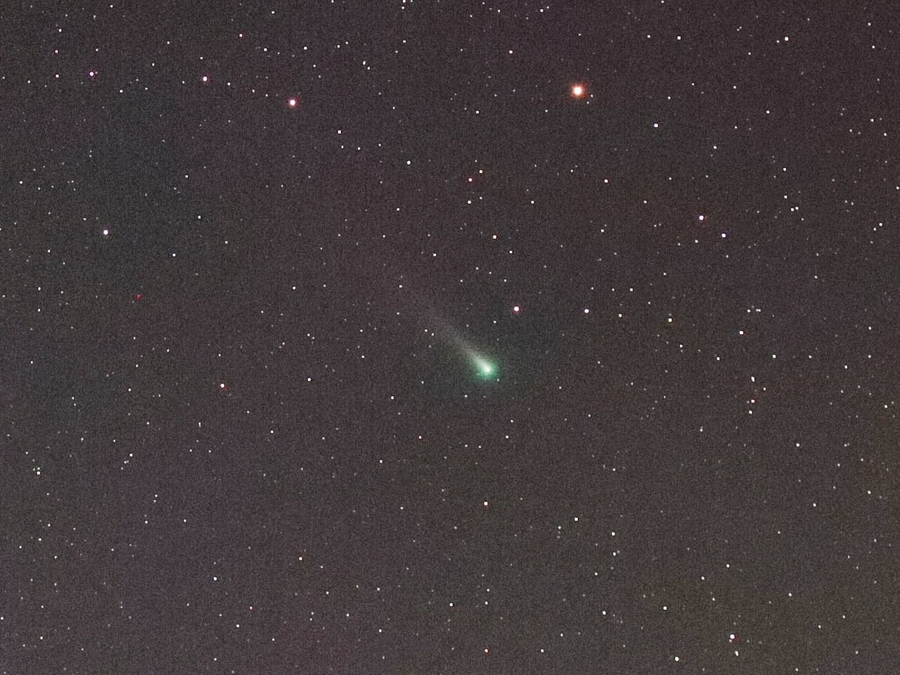 100mmで撮影したレナード彗星のトリミング 2021年11月29日