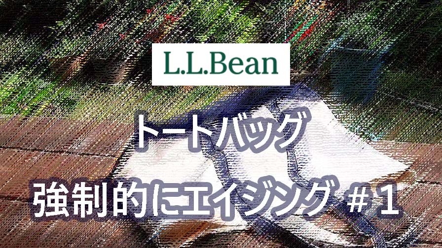 【エイジング】L.L.Beanのトートバッグを屋外に放置して強制的にエイジングさせる