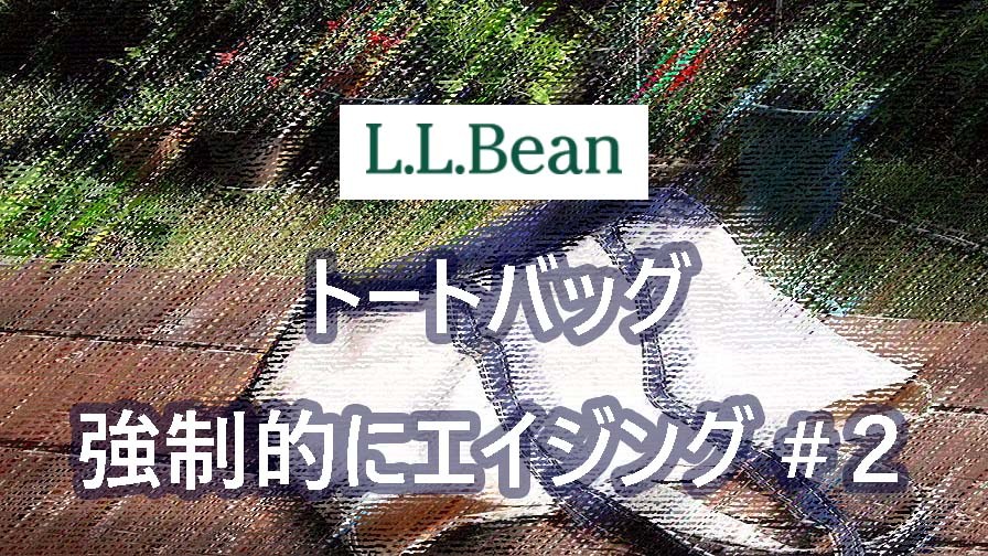 【エイジング】蛍光漂白剤でL.L.Beanのトートバッグを強制的にエイジングさせる Part2 ｜エルエルビーン
