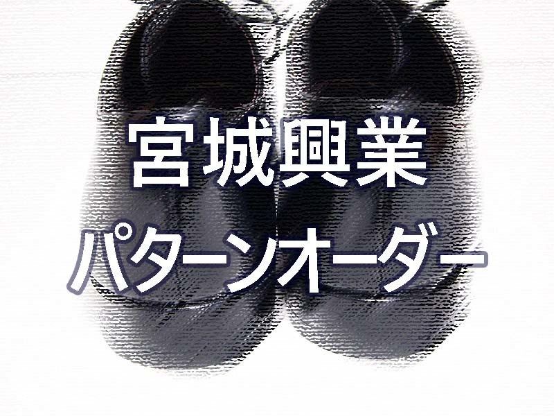 【考察】宮城興業 コードバン内羽根ストレートチップをパターンオーダー｜オススメのコードバン靴 