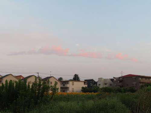 ピンクの雲