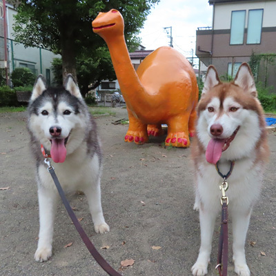 公園の恐竜さんとスフレ&マドレーヌ