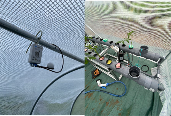 TTN新潟ユースケース：　トマト栽培でLoRaWAN Downlink機能を使い液肥溶液を遠隔操作！ 