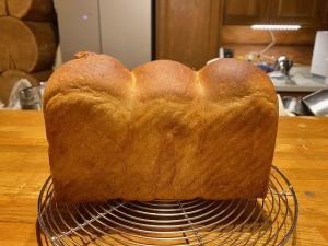 試作食パン