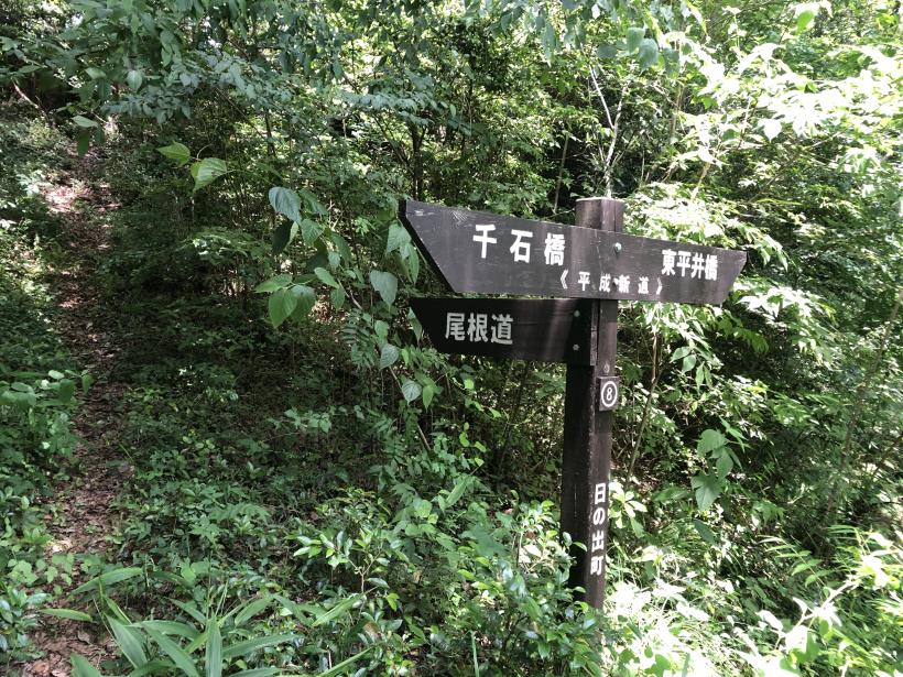 リハビリ山散歩21