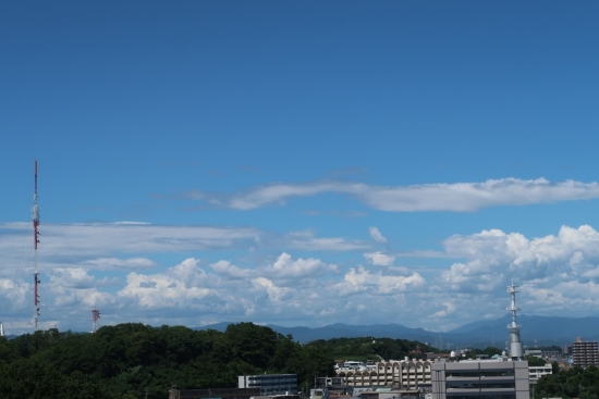 浜松城　富士見櫓跡