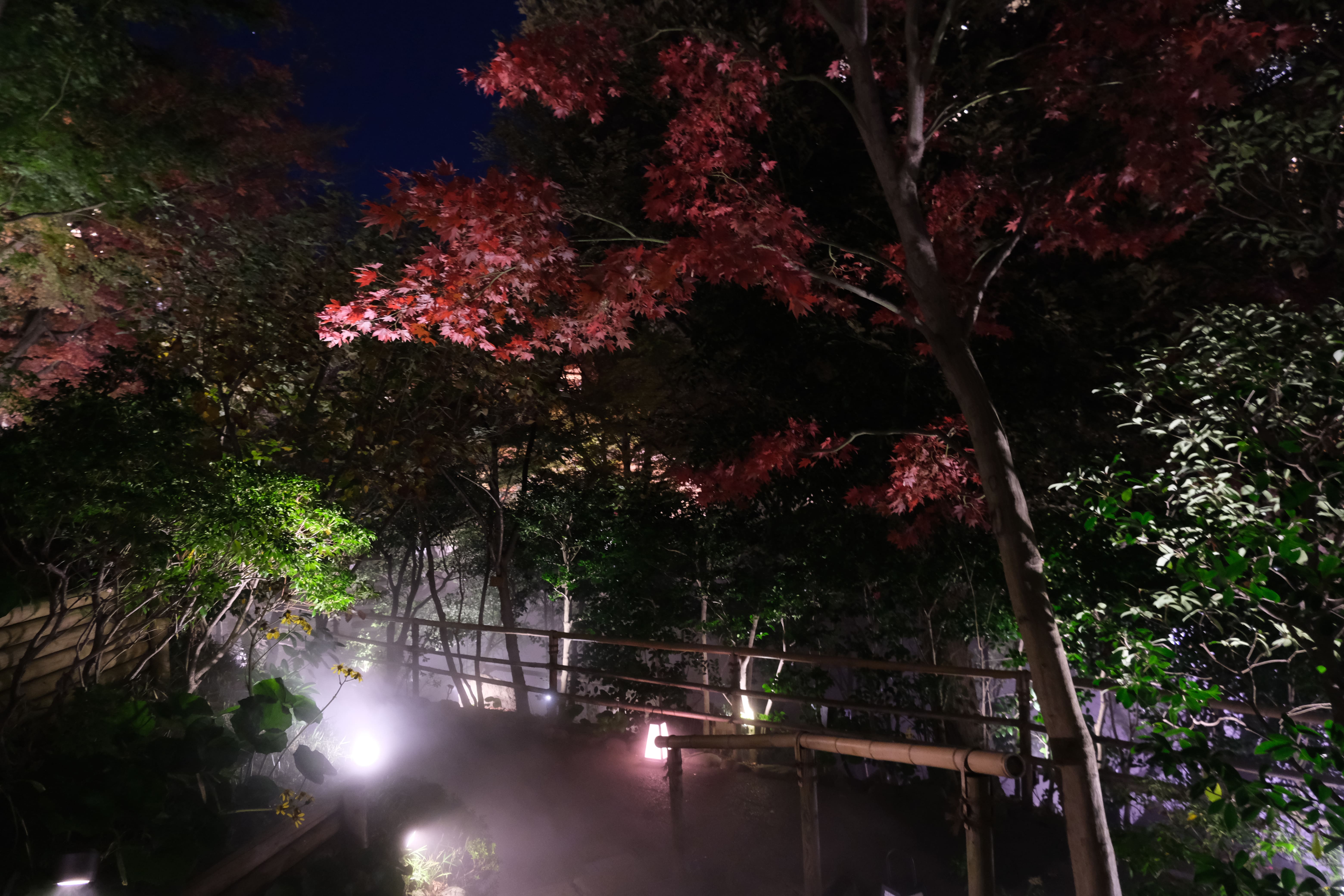 夜のホテル椿山荘の庭園の紅葉