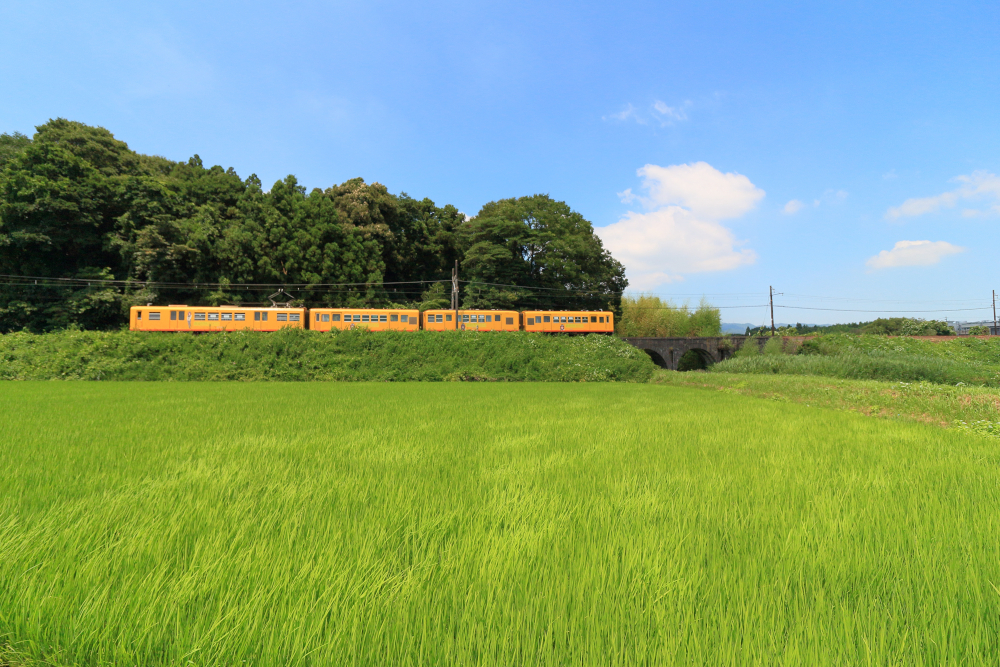 三岐鉄道北勢線　めがね橋と電車の画像