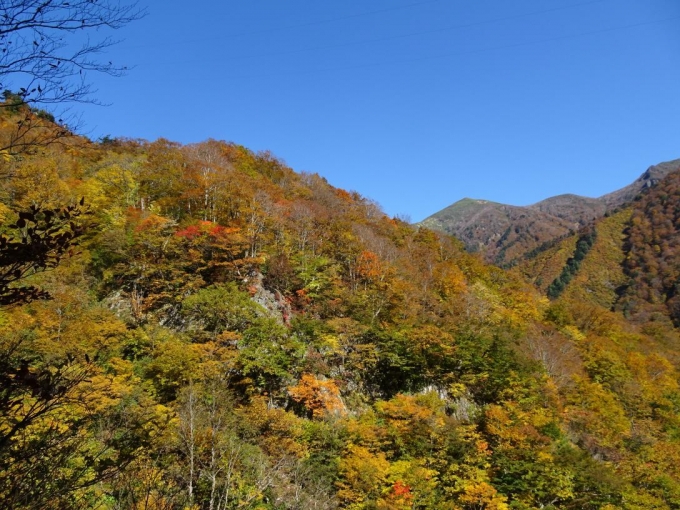 笠ヶ岳と黄葉