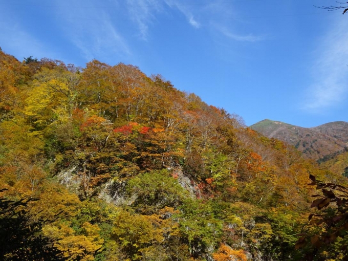 輝く紅葉と笠ヶ岳