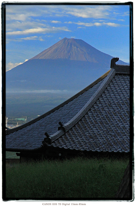 富士山と寺2110fujiplant0107.jpg