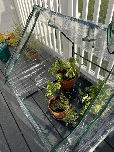 Greenhouse Assembly