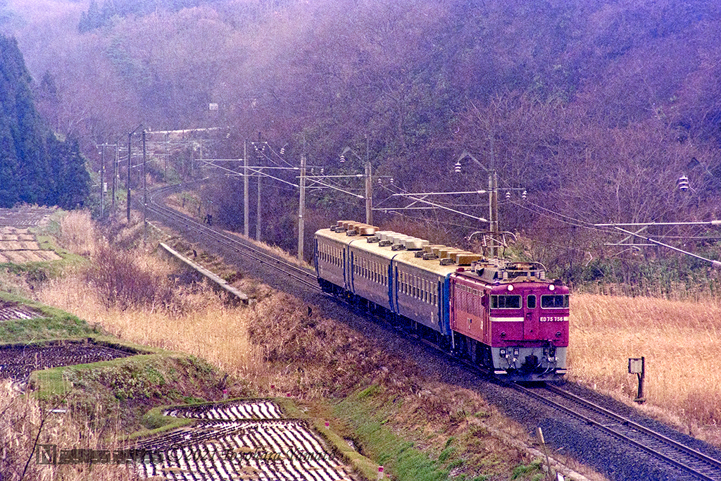199311[N262-14]鶴ヶ坂630
