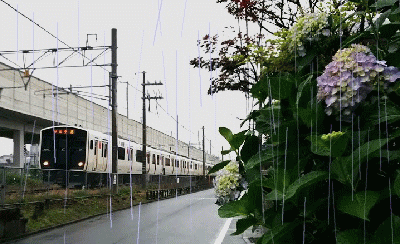 紫陽花と電車GIFアニメーション