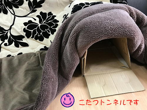 kotatsu2021-4.jpg