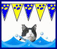 水泳をする猫