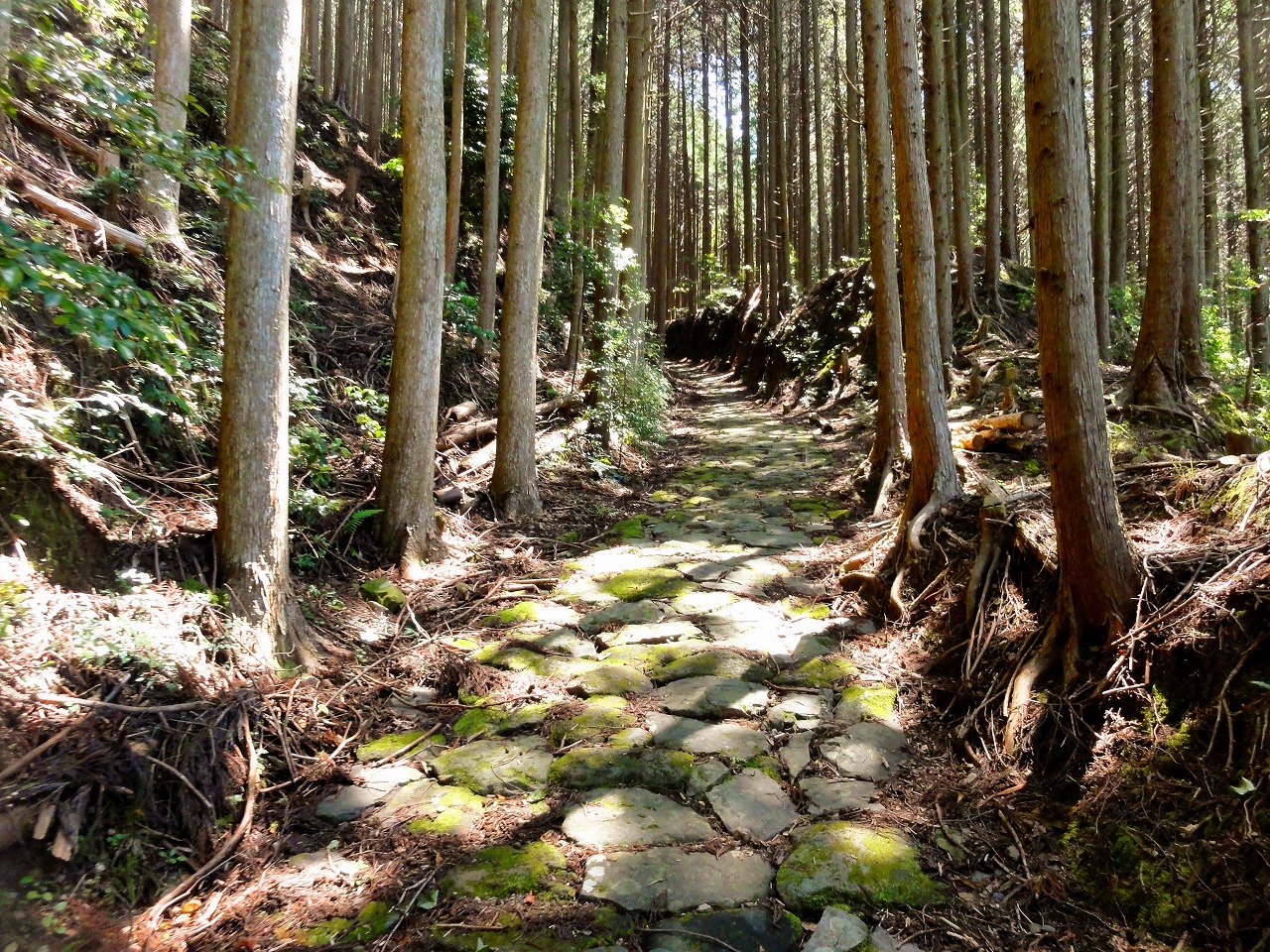 熊野古道歩いてみた。(高原熊野神社～大門王子）