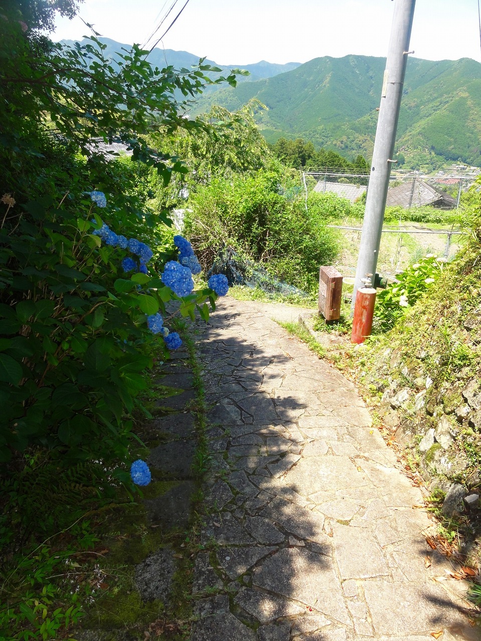 熊野古道歩いてみた。(大門王子～高原熊野神社）