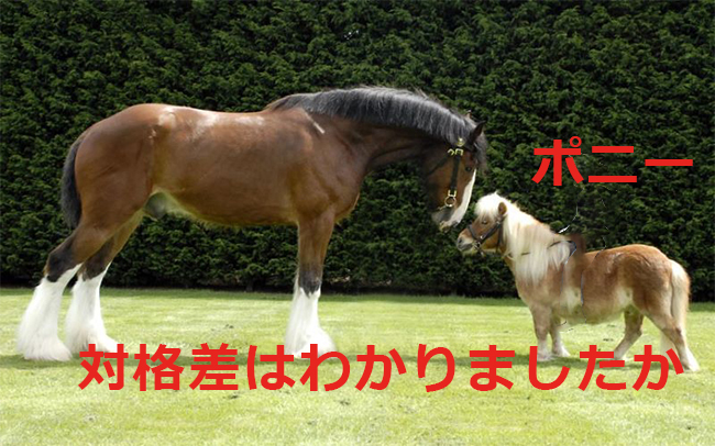 cheval-vs-poney