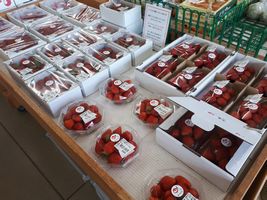 【写真】JA直売所の味楽囲の最終販売日に店頭に並んだポレポレ苺