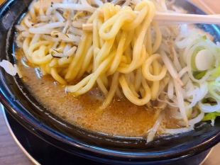 赤シャモジ桜木　味噌ラーメン　麺スープ