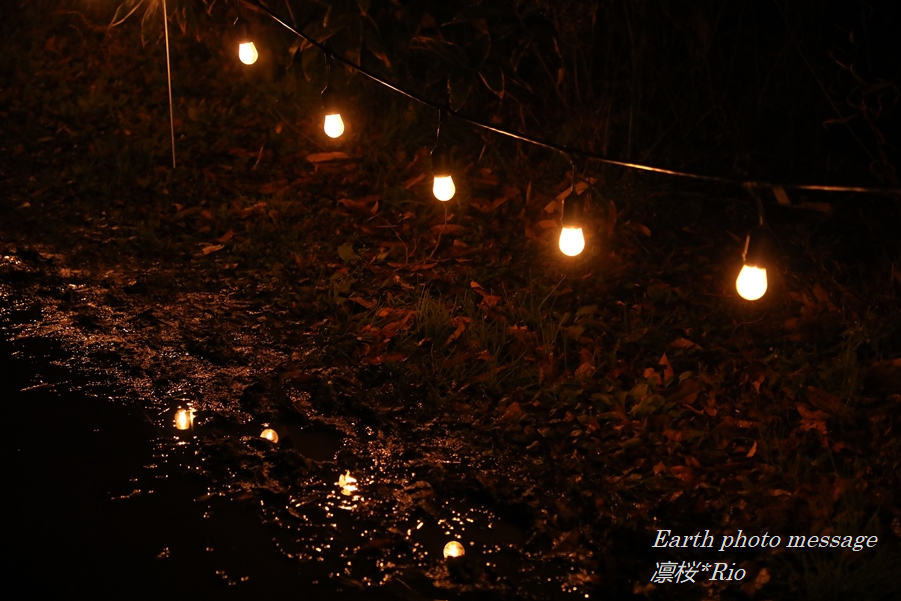 Earth photo message362　繋がり