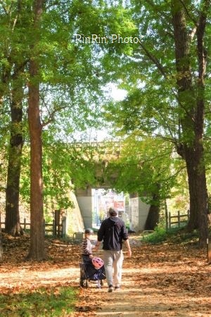 2021年11月狭山公園散歩のパパと男子