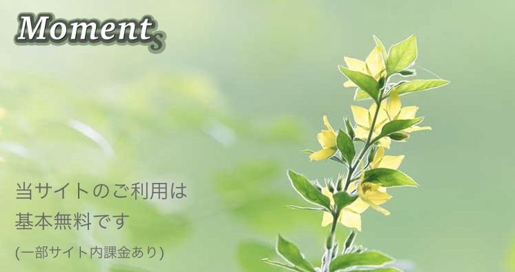 【Moments】NGO DIEP ARCHITECTURE DESIGN LIMITED 詐欺