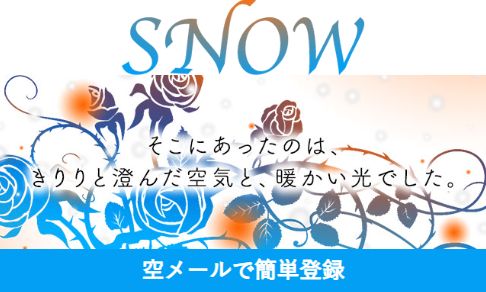 【SNOW/スノー】MAKE SUCCESS WEB DESIGN SERVICES 詐欺