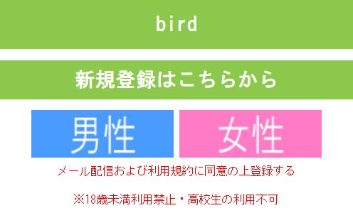 【bird/バード】Dream High Limited 詐欺