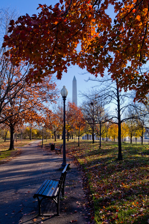 ワシントンDC 紅葉 ワシントン記念塔