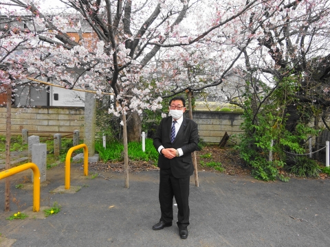 「国分寺に桜の花が咲きました！」②