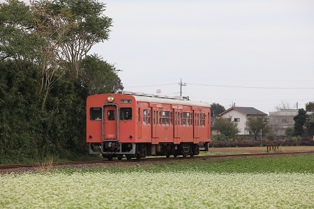 20111102関東鉄道キハ３０019